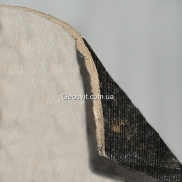 EDILMODULO